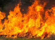 Kebakaran Smokehouse Creek Menghanguskan 850.000 Hektar Lahan