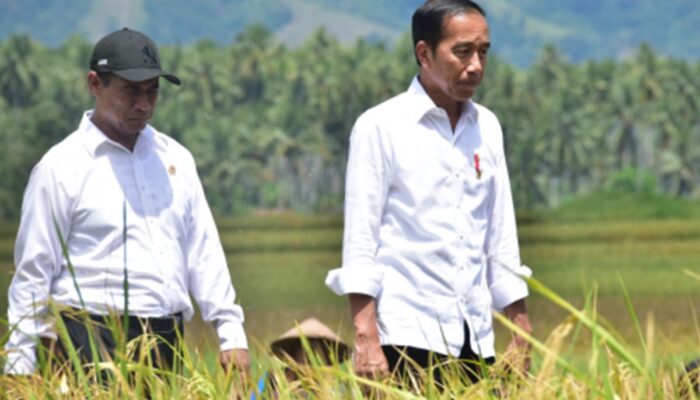 Presiden Jokowi Apresiasi Langkah Mentan Amran dalam Percepatan Tanam Padi