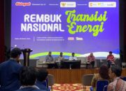 Menuju Negara Maju, Indonesia Perlu Gunakan Energi Bersih dan Berkelanjutan