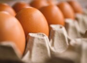 Bapanas Jelaskan Penyebab Kenaikan Harga Telur di Pasar