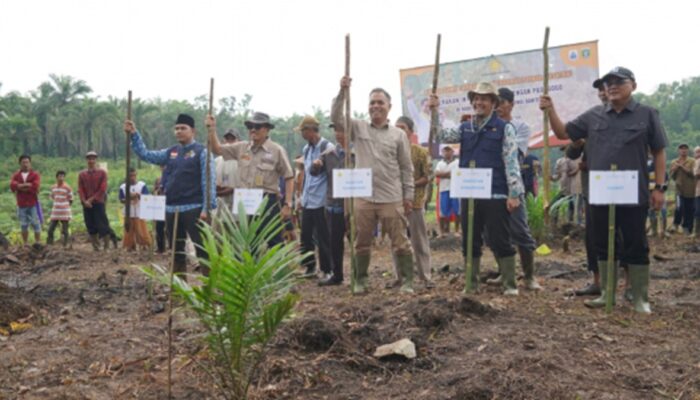 Kesatria, Program Unggulan Kementan untuk Maksimalkan Lahan Perkebunan demi Peningkatan Produksi Padi