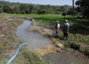 Bantu Petani dengan Irigasi Perpompaan, Kementan Dorong Petani Sukabumi Tingkatkan Produksi