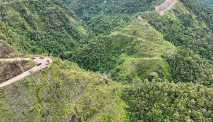 Hutama Karya Akan Bangun Jalan Trans Papua