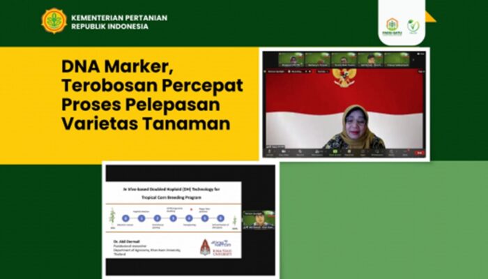 DNA Marker, Inovasi Percepat Proses Pelepasan Varietas Tanaman