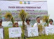 Kementan Bersama Provinsi Banten Kembangkan Padi Varietas Biosalin untuk Wilayah Pesisir