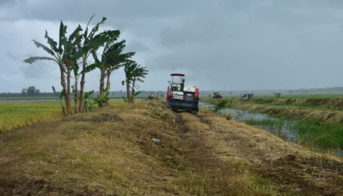 Mentan Tancap Gas Cetak Sawah 500 ribu Ha di Merauke