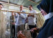 MenKopUKM Dukung Inovasi Serat Rami untuk Dongkrak Industri Tekstil Nasional