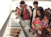 Zhengzhou Menggelar Pameran Interaktif pada Hari Museum Sedunia