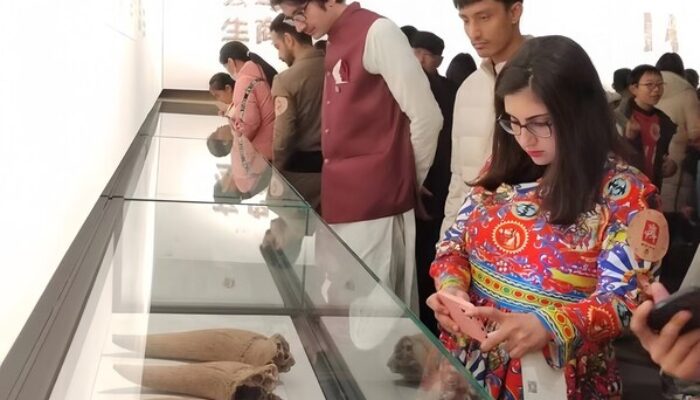 Zhengzhou Menggelar Pameran Interaktif pada Hari Museum Sedunia