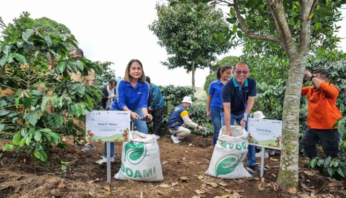 BCA Revitalisasi Kebun Kopi Cikoneng Bogor, Targetkan Kenaikan Produksi 120%