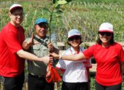 Aksi Hijau #WINGSPeduliLingkungan, Yayasan WINGS Peduli Tanam Ratusan Pohon Mangrove