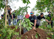 Tanam 2.000 Pohon di Koridor Satwa Liar Hutan Bali Barat