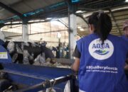 AQUA dan Rekosistem Kelola 1400 Metrik Ton Sampah Kemasan Plastik