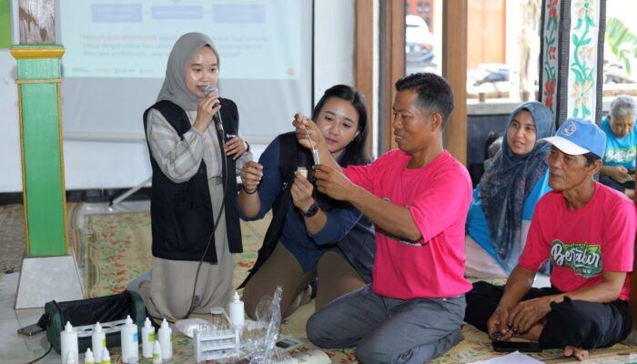 Dukung Peningkatan Kualitas Petani, Karyawan Pupuk Kaltim Berikan Pendampingan Intensif