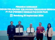 Sinergi PLN dan PLN Icon Plus Perluas Layanan Digital dan Energi Hijau