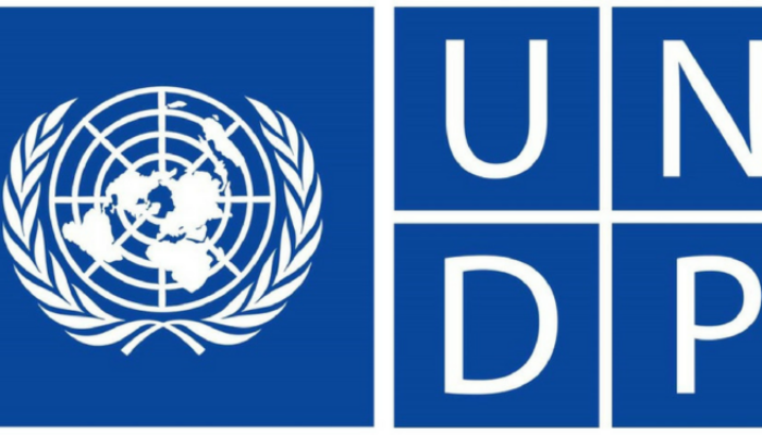 UNDP : Indonesia hadapi Tantangan Kesenjangan Digital, Isu Hak dan Etika Digital dan Risiko Polarisasi