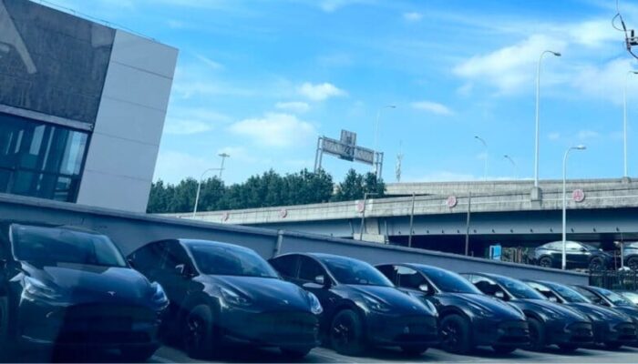 Tesla Model Y Menjadi Mobil Terlaris di Tiongkok pada 2024, Terjual 480.309 Unit