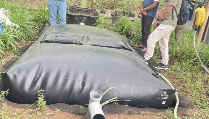 Inovasi Pemanfaatan Teknologi Biogas, Ubah Kotoran Hewan Jadi Energi Bersih