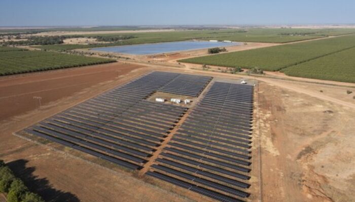 Trinasolar Dukung Proyek PLTS Agrobisnis 6 MW di Australia 