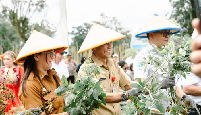 Dukung Ketahanan Pangan, PGE dan UGM Gelar Panen Raya Katrili 2025 Bersama Petani Tonsewer