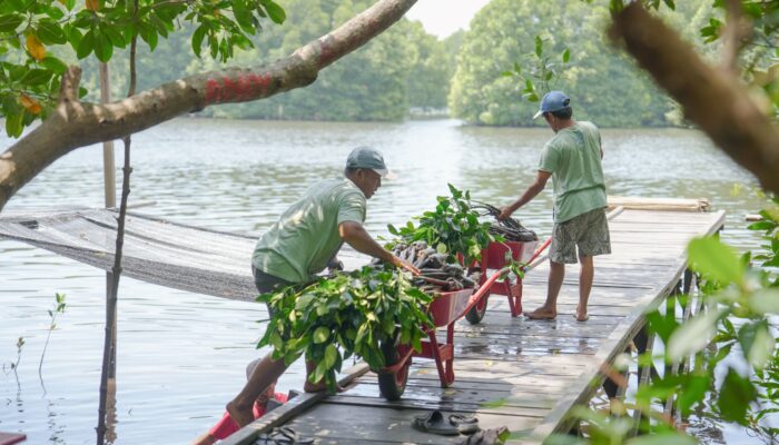 Pupuk Kaltim Rayakan Hari Keanekaragaman Hayati dengan Capaian Konservasi Terumbu Karang dan Mangrove