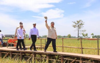 Swasembada Bawa Dampak Fiskal: Bea Masuk Pangan Turun, Bea Keluar Naik Tajam