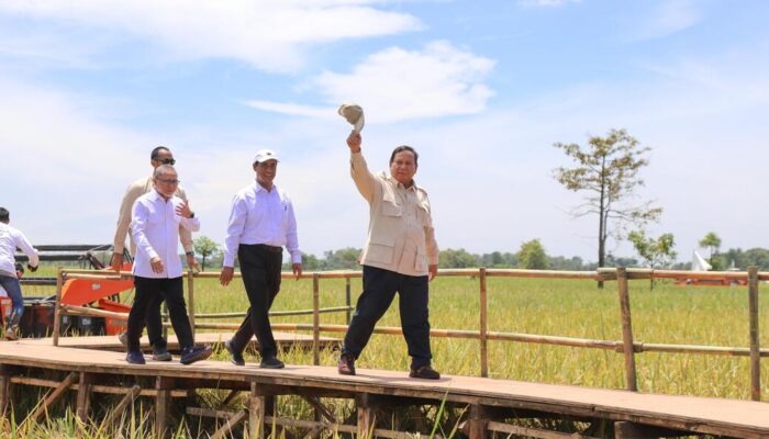 Swasembada Bawa Dampak Fiskal: Bea Masuk Pangan Turun, Bea Keluar Naik Tajam