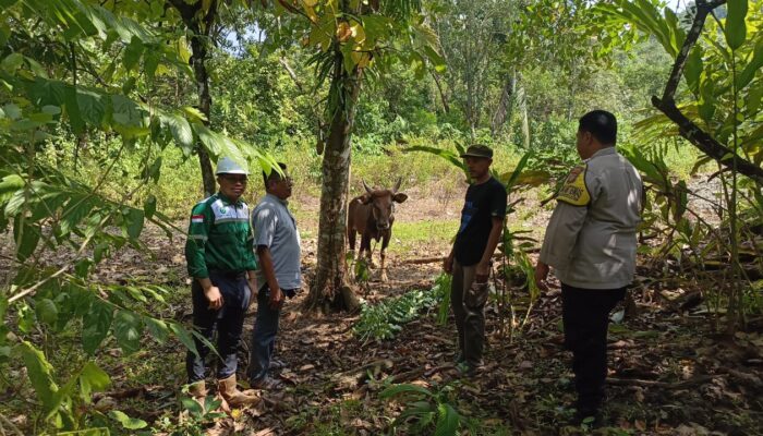 Dari Qurban ke Kolaborasi: Harmoni Warga dan Korporasi di Morowali
