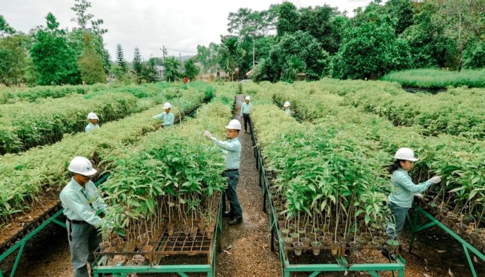 Komitmen Jaga Lingkungan, MIND ID Targetkan Penurunan Emisi 21,4% pada 2030