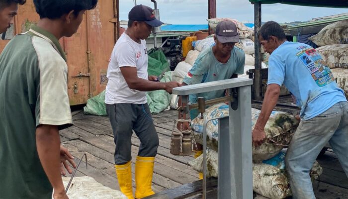 KOLTIVA Dorong Segregasi Inklusif di Tengah Rendahnya Adopsi Sistem Ketertelusuran untuk EUDR