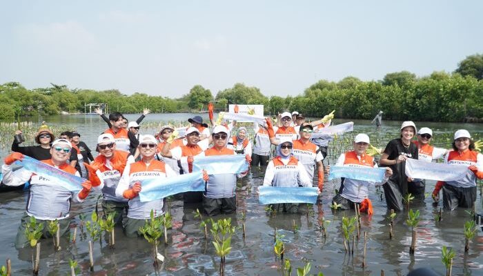 Kolaborasi Nyata Lindungi Laut Indonesia, PIS Ajak Masyarakat Tanam 20 Ribu Mangrove  