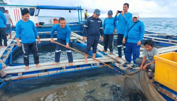 MIND ID Perkuat Pendampingan Budidaya Ikan Laut demi Ekonomi Pesisir yang Berkelanjutan