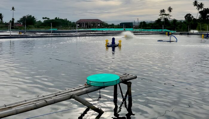 Aquarev Dorong Masa Depan Akuakultur Berkelanjutan Lewat Inovasi dan Inklusi