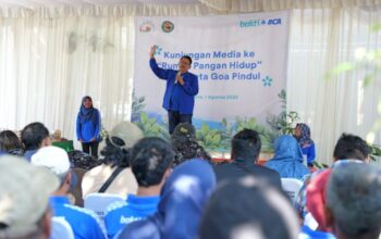 BCA Dorong Penghematan Belanja Rumah Tangga Lewat Program Rumah Pangan Hidup di Goa Pindul