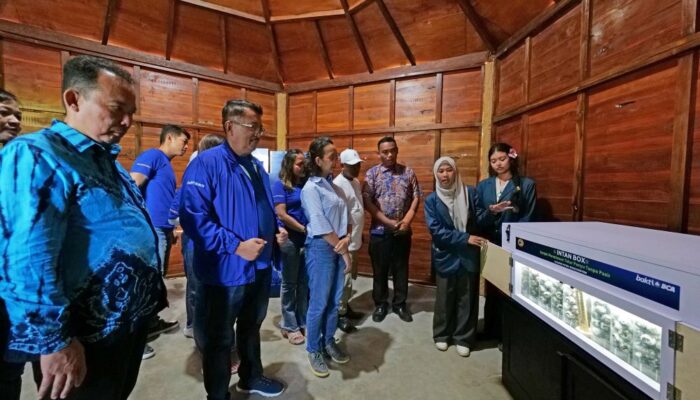 Dukung Pelestarian Penyu, BCA Resmikan Fasilitas Konservasi di Pantai Goa Cemara