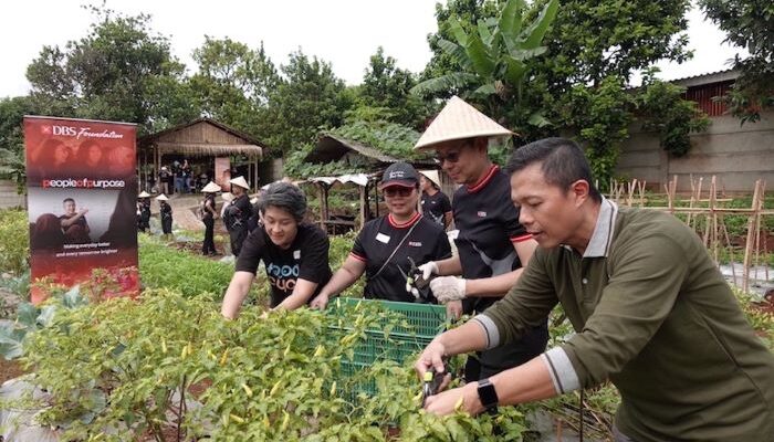Bank DBS Indonesia Dorong Ketahanan Pangan Lewat Urban Farming untuk Komunitas Rentan