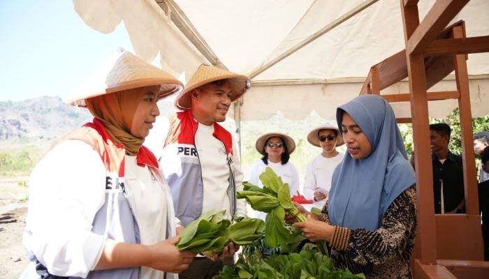 Bantu Petani di Pedalaman Labuan Bajo, PIS Salurkan 5 Juta Liter Air Bersih Lewat Pompa Tenaga Surya 