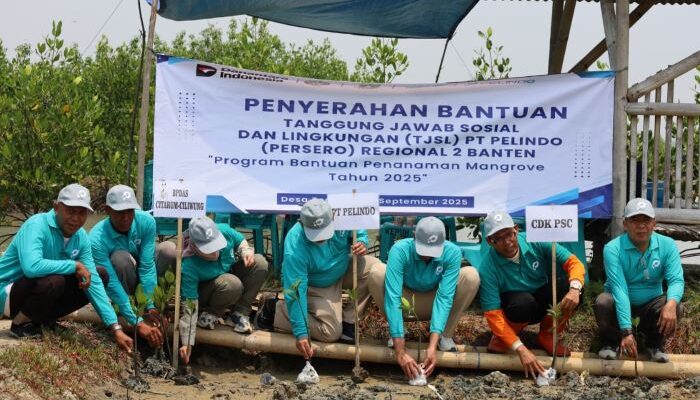 Benteng Pesisir dan Paru-Paru Biru: Pelindo Regional 2 Banten Tanam 17.600 Mangrove untuk Lawan Abrasi dan Kurangi Emisi Karbon