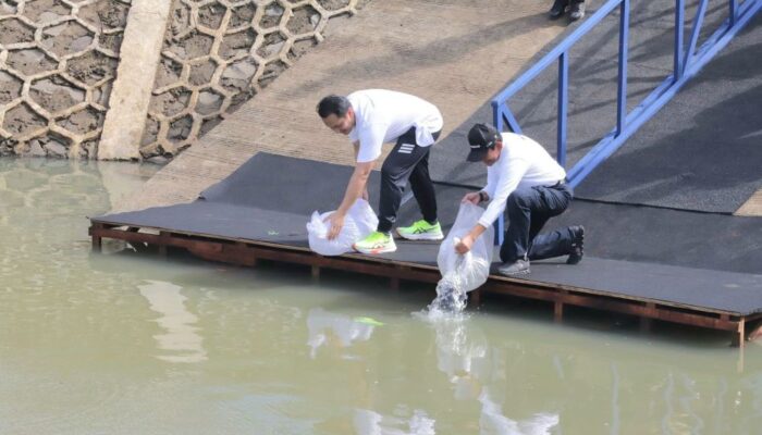 MIND ID Dukung Konservasi Sungai Cipinang, Tanam Pohon dan Lepas Ikan