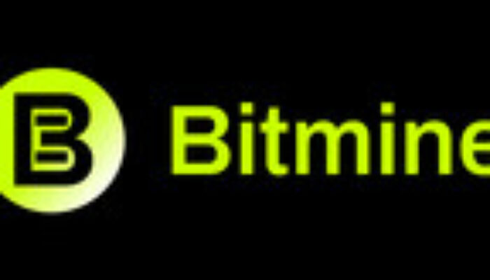 Bitmine Kantongi Aset 11,4 Miliar Dolar AS, Kepemilikan Ethereum 4,8 Juta Token