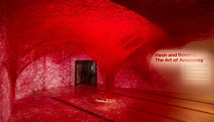 Pameran Anatomi di ArtScience Museum Tampilkan 160 Artefak Bersejarah