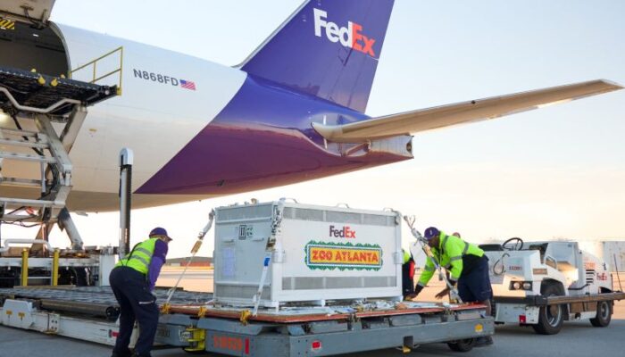 FedEx Terbangkan Dua Panda dari Tiongkok ke AS untuk Misi Konservasi