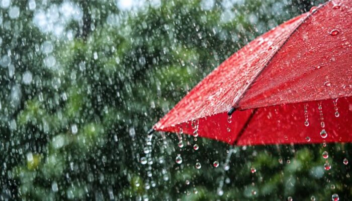Igloo dan DANA Luncurkan Asuransi Hujan dengan Klaim Otomatis